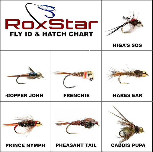 RoxStar Fishing Fly Shop | 36pk Beadhead Tungsten & Brass Fly Assortment | Proudly Hand Crafted in The USA | Gift Box Included.