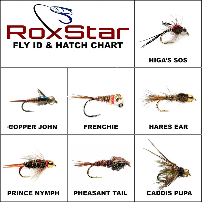 Nymph Fly Hatch Pack 14 Premium Nymph Flies for Trout