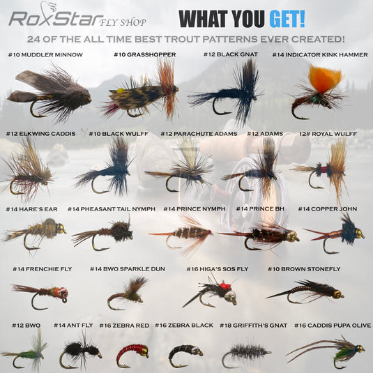 Buy RoxStar Fishing Fly Shop  36PK BeadHead Tungsten & Brass Fly